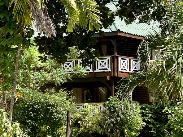 Acajou Hotel - Nature 